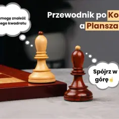 Jak prawidłowo rozstawić figury na planszy szachowej?